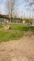 Afb20170420 (31)